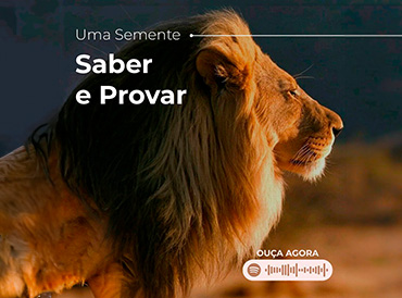 Saber E Provar